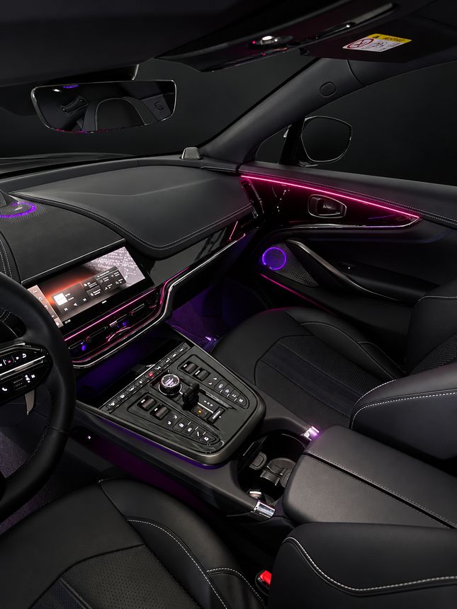 Aston Martin DBX: торпедо и дверь пассажира, розовый контур