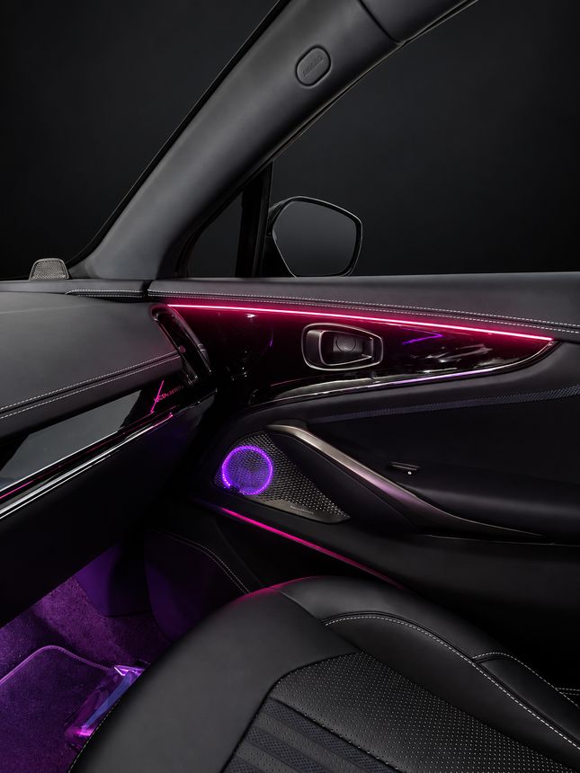 Aston Martin DBX: дверь пассажира, розовый контур