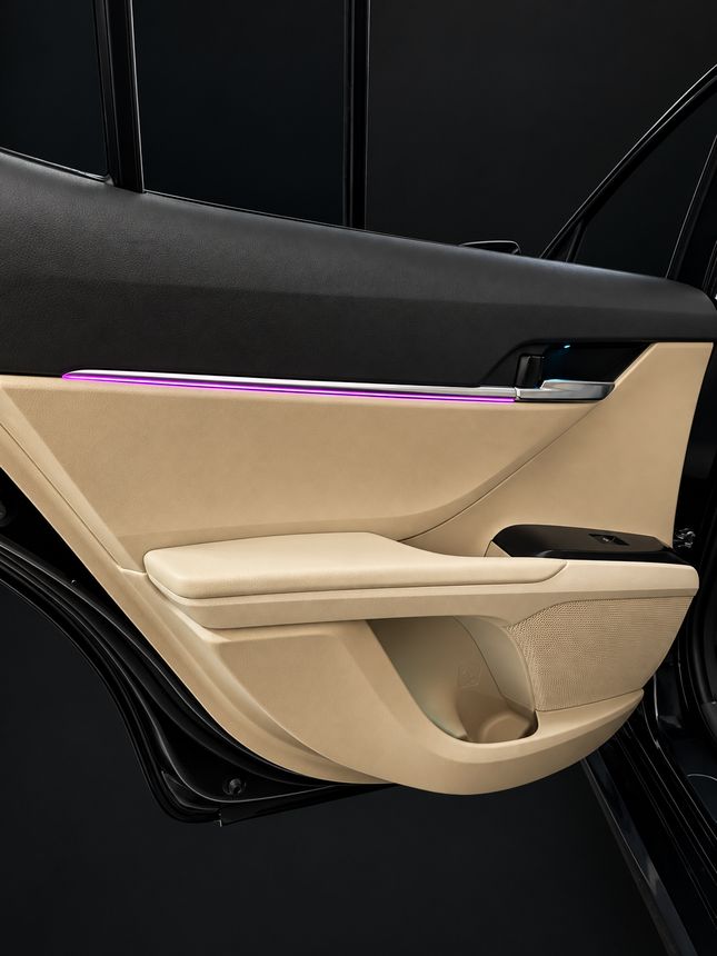 Toyota Camry XV70: задняя дверь, розовая линия по дверной карте